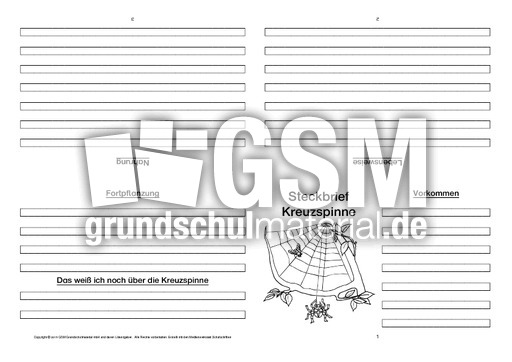 Kreuzspinne-Faltbuch-vierseitig-2.pdf
